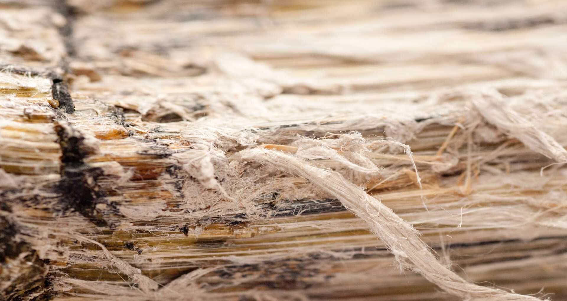 Asbestos Testing Services in North Country